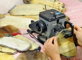 Як заповнити прогалини в резюме після тривалого безробіття?