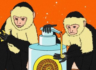 Тварини – це ті, хто має першорядний вплив на Здоров’я