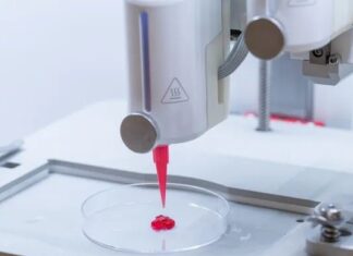 Дослідники створили штучну шкіру, надруковану на 3D-принтері, яка забезпечує циркуляцію крові