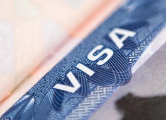 Рейси та перерва UPS 3800 доларів: як декларація Трампа H-1B панікована технічна працівник