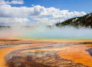 Ці нещодавно відкриті клітини дихають двома способами