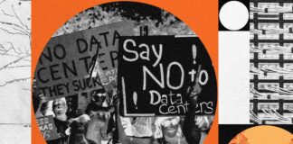 Invasive Mücke breitet sich bis in die Rocky Mountains aus