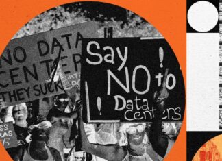 Invasive mosquito spreading in the Rocky Mountains