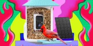 Inteligentní krmítka Birdfy: Černý pátek prodej 2025 a průvodce