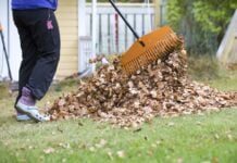 Збільште свій дохід: 7 підробітків на осінь, на які варто звернути увагу