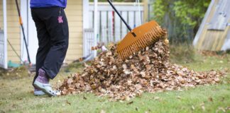Verhoog uw inkomen: 7 herfstoptredens om te overwegen