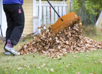 Збільште свій дохід: 7 підробітків на осінь, на які варто звернути увагу