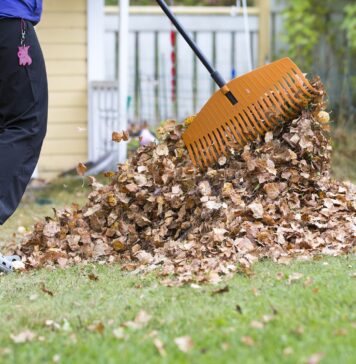 Збільште свій дохід: 7 підробітків на осінь, на які варто звернути увагу