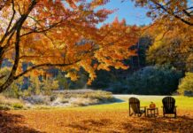 Топ-5 найдоступніших місць для підглядання листя цієї осені менше ніж за 60 доларів за ніч