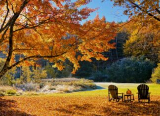 Топ-5 найдоступніших місць для підглядання листя цієї осені менше ніж за 60 доларів за ніч