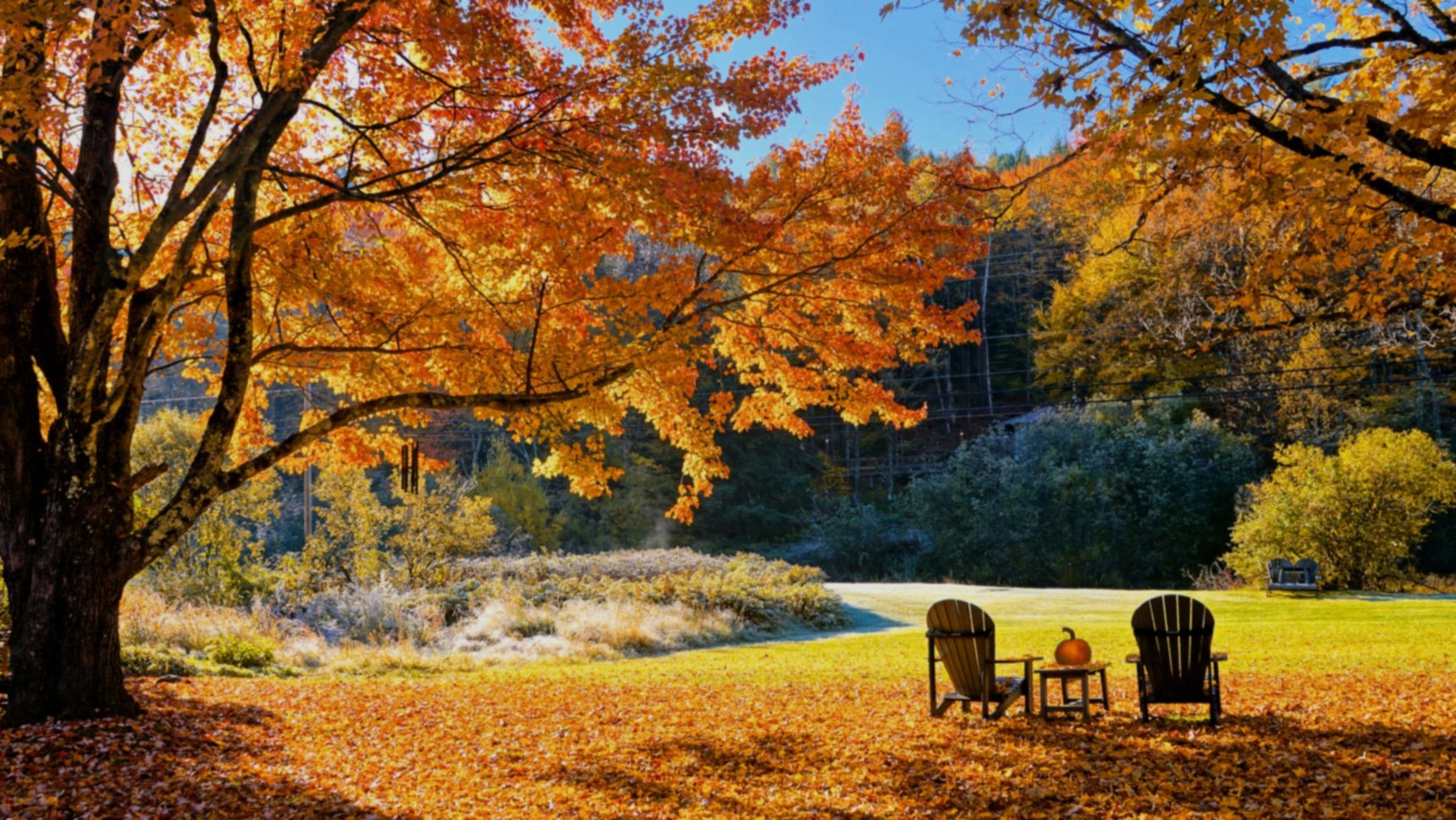 9d76c25f-5302-49b3-ab6e-e39e7504a726