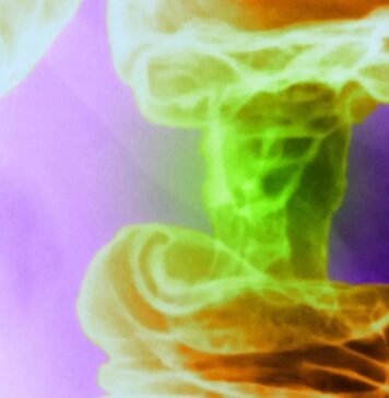 Innovations and Challenges: A Week in Global Headlines