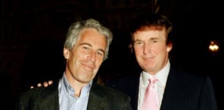 Технології, знижки та перервані подорожі: огляд за листопад 2025 року