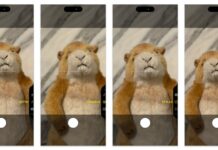 Опанування камери смартфона в 2024 році