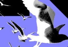 Influencers тепер є потужнішими ЗМІ: дослідження підтверджує політичний вплив