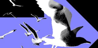 Influencers тепер є потужнішими ЗМІ: дослідження підтверджує політичний вплив