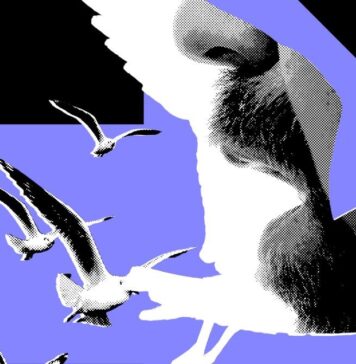 Influencers тепер є потужнішими ЗМІ: дослідження підтверджує політичний вплив