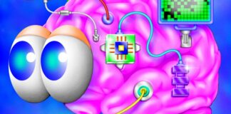 Пристрої для читання думок: новий рубіж споживчих технологій