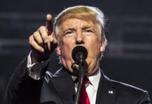 П’ять галузей, що процвітають в епоху Трампа