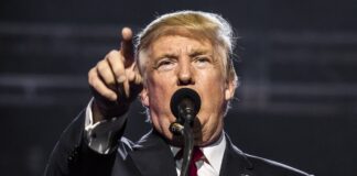 Cinco indústrias prosperando sob a economia Trump