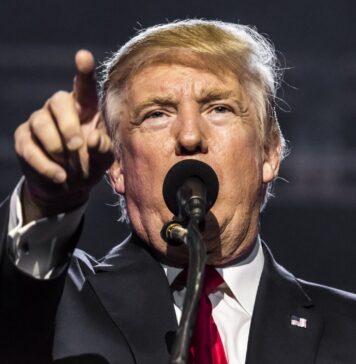 П’ять галузей, що процвітають в епоху Трампа