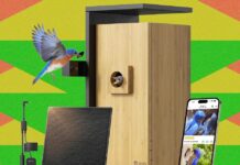 Весняний Розпродаж Amazon: Розумні Годівниці для Птахів, які варто купити (і уникати)