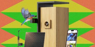 Penjualan Musim Semi Amazon: Pengumpan Burung Cerdas yang Layak Dibeli (dan Dihindari)