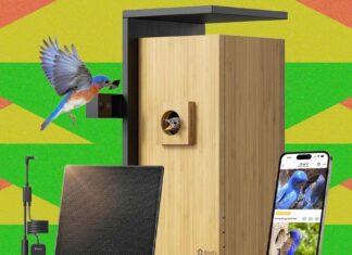 Весняний Розпродаж Amazon: Розумні Годівниці для Птахів, які варто купити (і уникати)