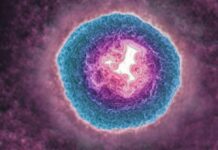 Оперезуючий Лишай Пов’язаний з Прискореним Старінням Мозку: Нові Дослідження Розкривають Приховані Ризики