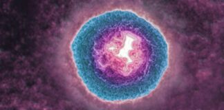 L’herpes zoster è collegato all’invecchiamento cerebrale accelerato: una nuova ricerca rivela rischi nascosti