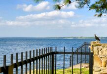 Чотири процвітаючі міста США, де 2500 доларів на місяць вистачить на комфортну пенсію