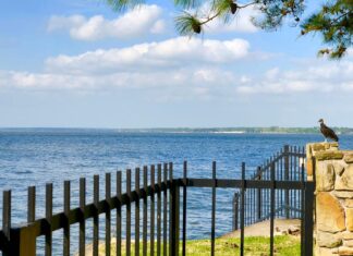 Чотири процвітаючі міста США, де 2500 доларів на місяць вистачить на комфортну пенсію
