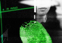 Захист від Крадіжки Особистих Даних: Чи коштує Гра Свічок?