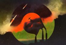 Безмовна жертва: екологічна криза, що розгортається, в конфлікті між Іраном та Ізраїлем