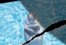 Глобальна нестабільність та наукові рубежі: огляд сучасних ризиків та відкриттів