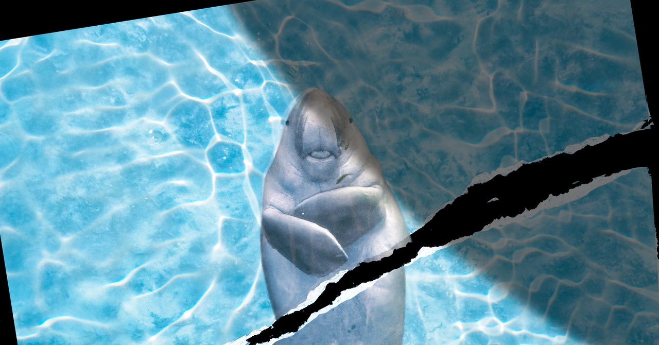 05e9271b-294f-4282-93af-ba9a6b220f32