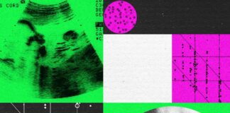 A fronteira frágil: por que as primeiras startups “Designer Baby” estão entrando em colapso